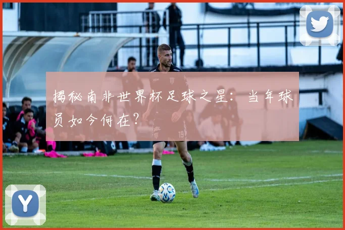 揭秘南非世界杯足球之星：当年球员如今何在？