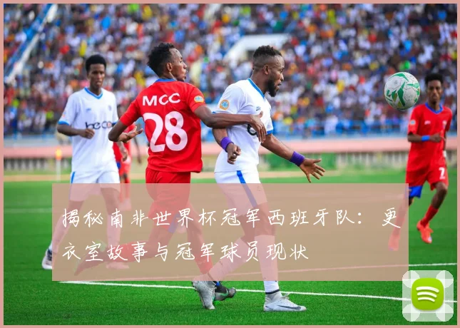 揭秘南非世界杯冠军西班牙队：更衣室故事与冠军球员现状