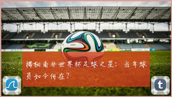 揭秘南非世界杯足球之星：当年球员如今何在？