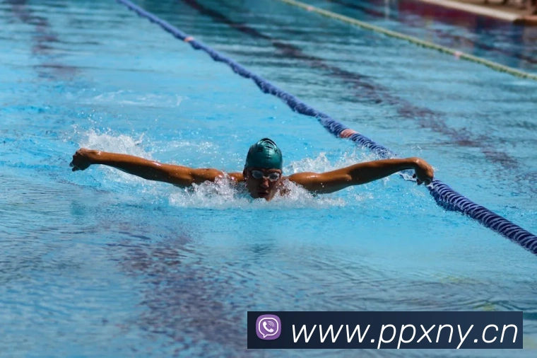 多媒体互动体验